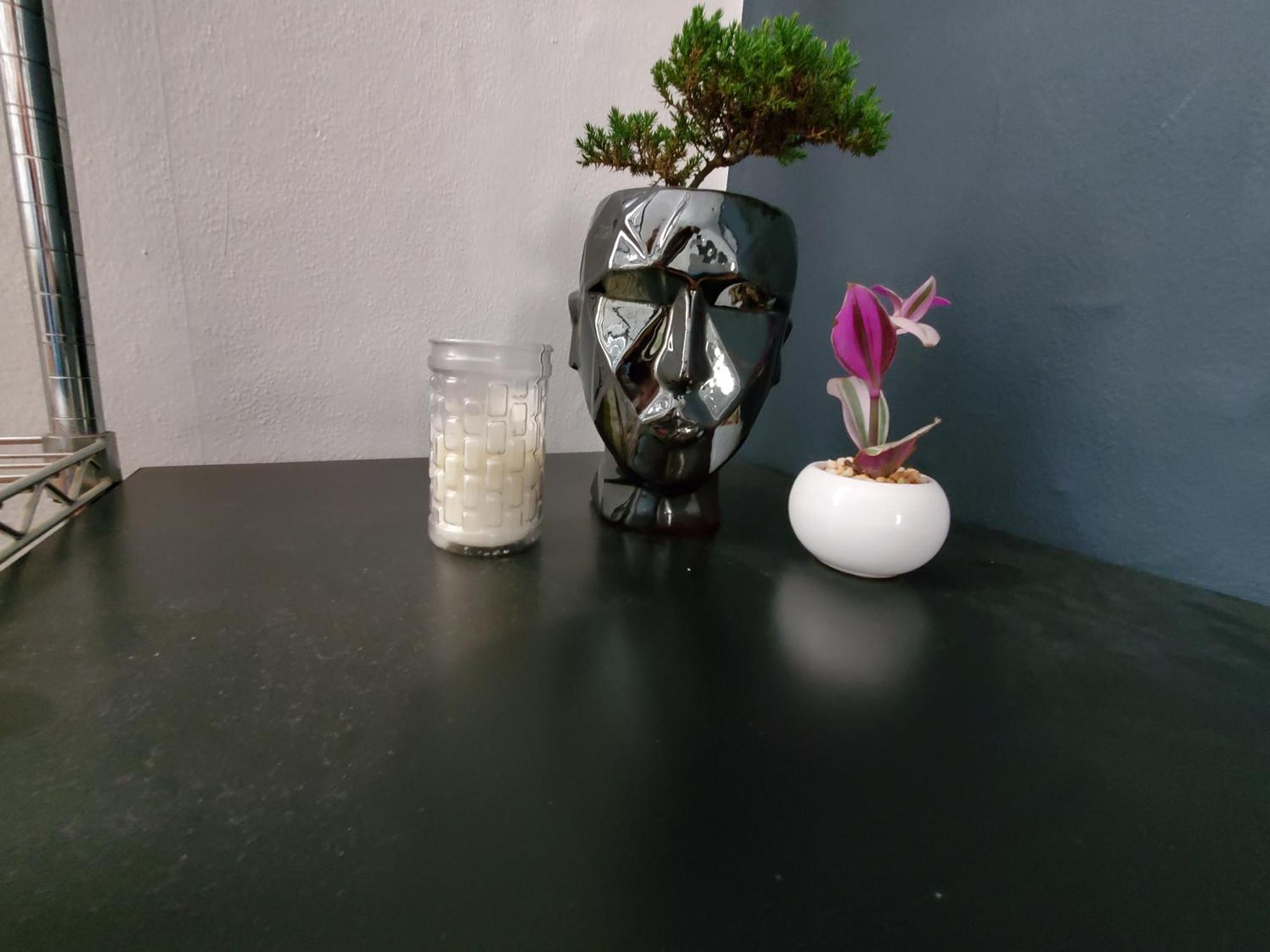 Apartment In The Heart Of Rome Mexico City